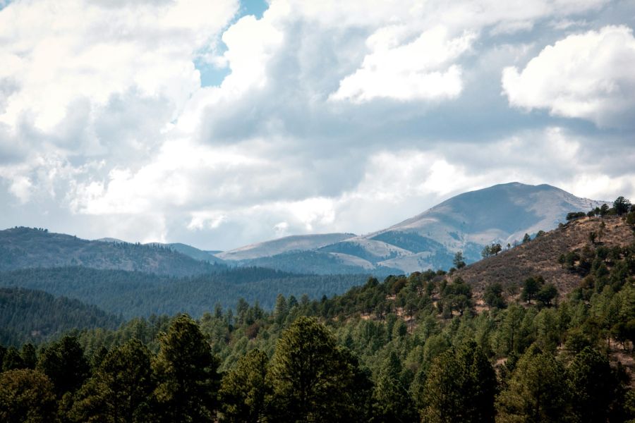 By William from Weslaco, TX, USA - Teh brightnessUploaded by Fredlyfish4, CC BY-SA 2.0, https://commons.wikimedia.org/w/index.php?curid=24556960