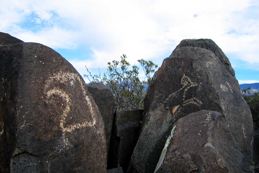 By Dusty Matthews from Brooklyn, NY, United States - IMG_1434, CC BY 2.0, https://commons.wikimedia.org/w/index.php?curid=2655876