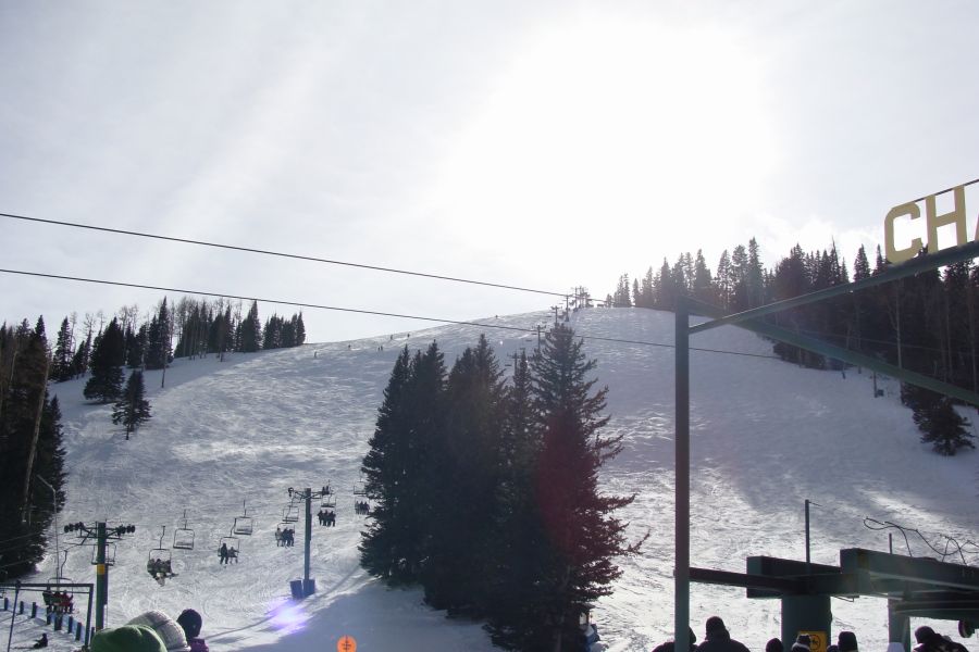 By William from Weslaco, TX, USA - Teh brightnessUploaded by Fredlyfish4, CC BY-SA 2.0, https://commons.wikimedia.org/w/index.php?curid=24556960